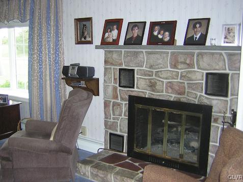 288 Hunter Forge Road Macungie, PA 18062 - Photo 6 of 18 a living room with furniture a flat screen tv and a fireplace