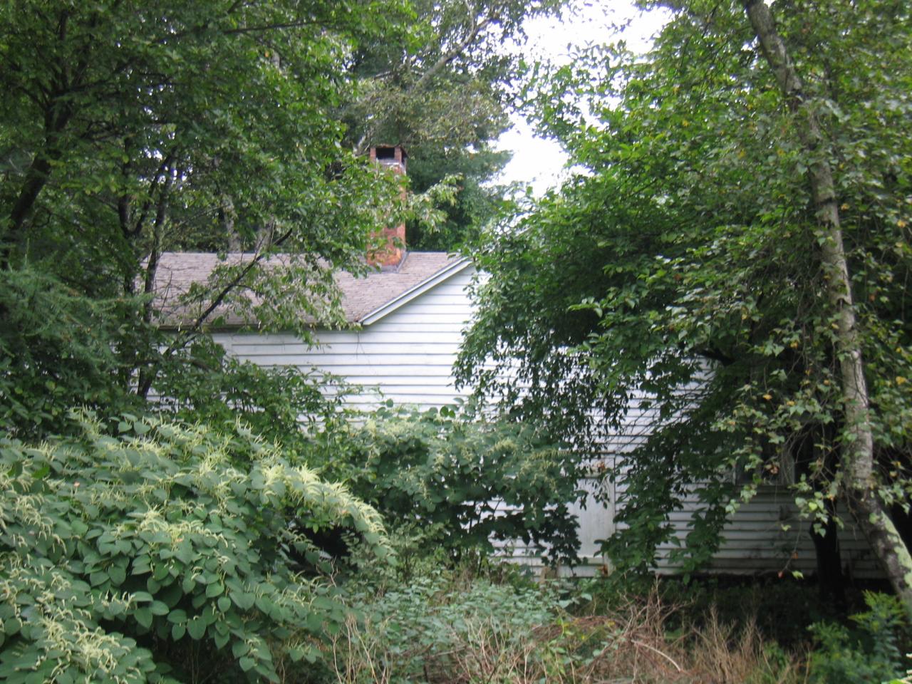 319 South Undermountain Road Sheffield, MA 01257 - Photo 5 of 5 Attached barn