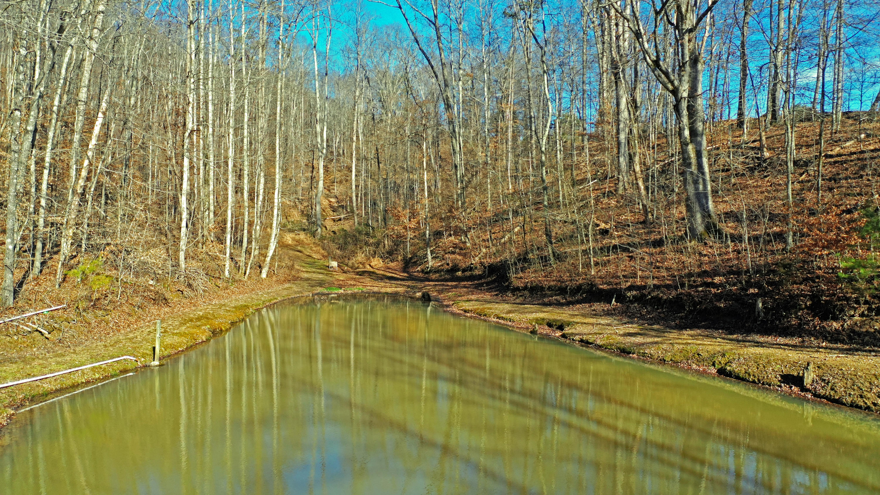 463 Sulphur Hollow Road Tazewell, TN 37879 - Photo 18 of 39 DJI_0011