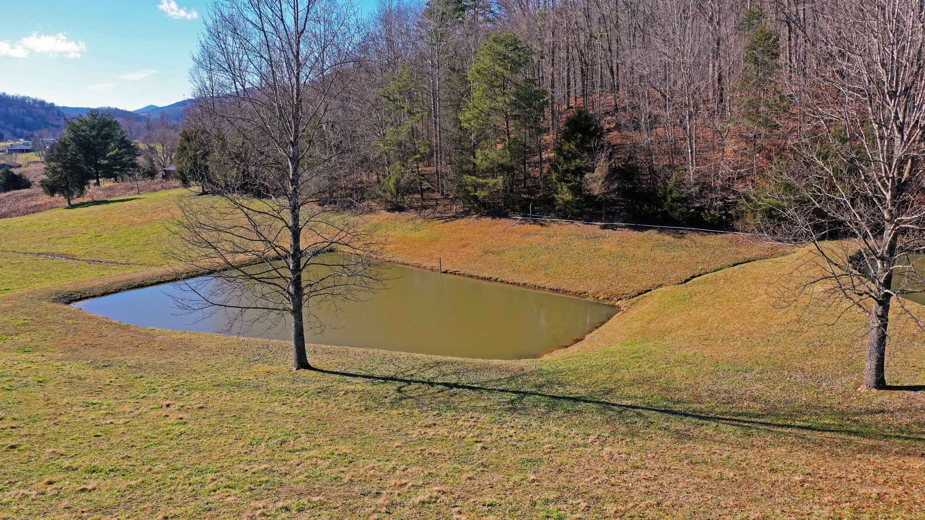 463 Sulphur Hollow Road Tazewell, TN 37879 - Photo 20 of 39 DJI_0015