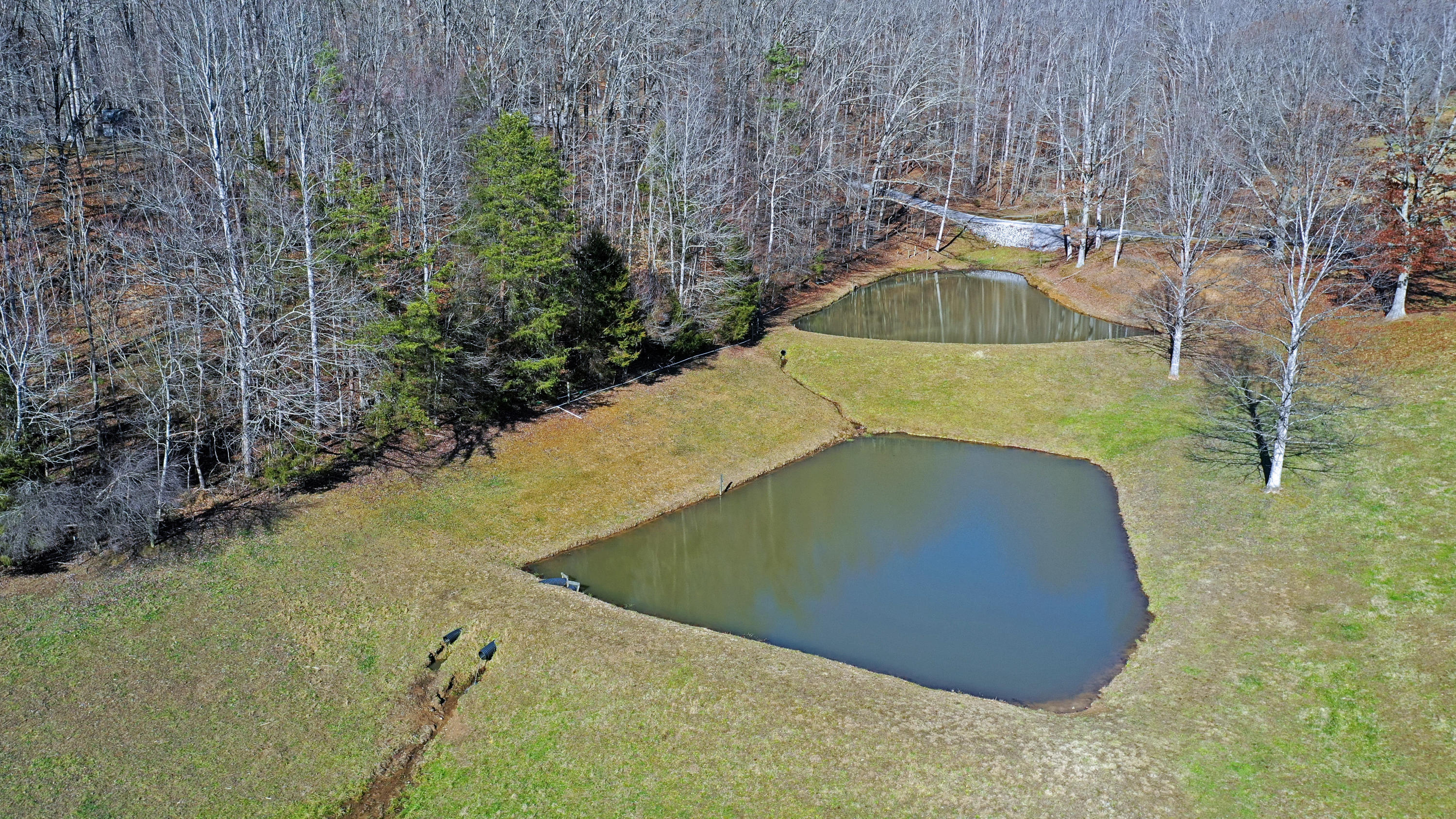 463 Sulphur Hollow Road Tazewell, TN 37879 - Photo 21 of 39 DJI_0016