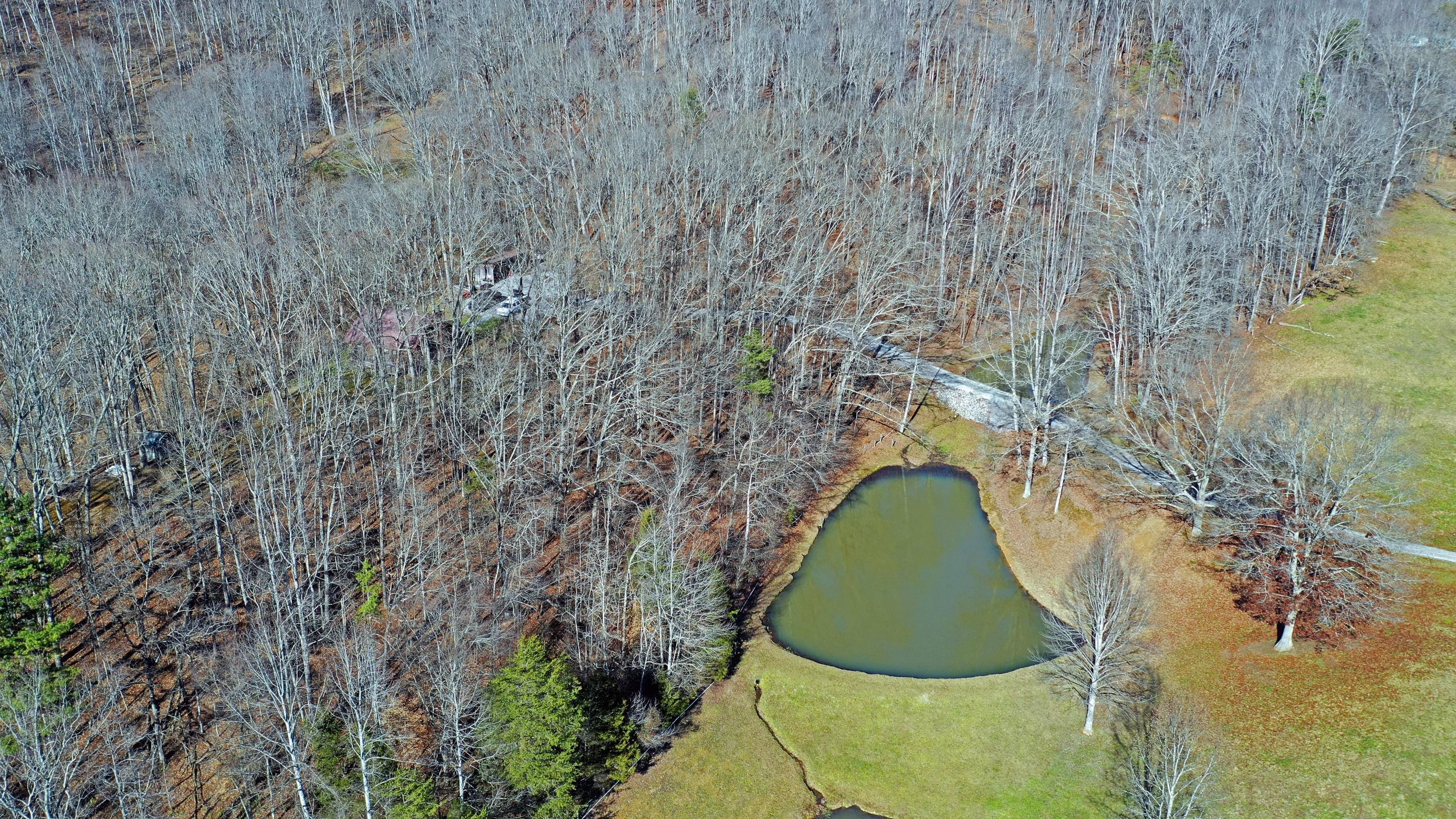 463 Sulphur Hollow Road Tazewell, TN 37879 - Photo 22 of 39 DJI_0018