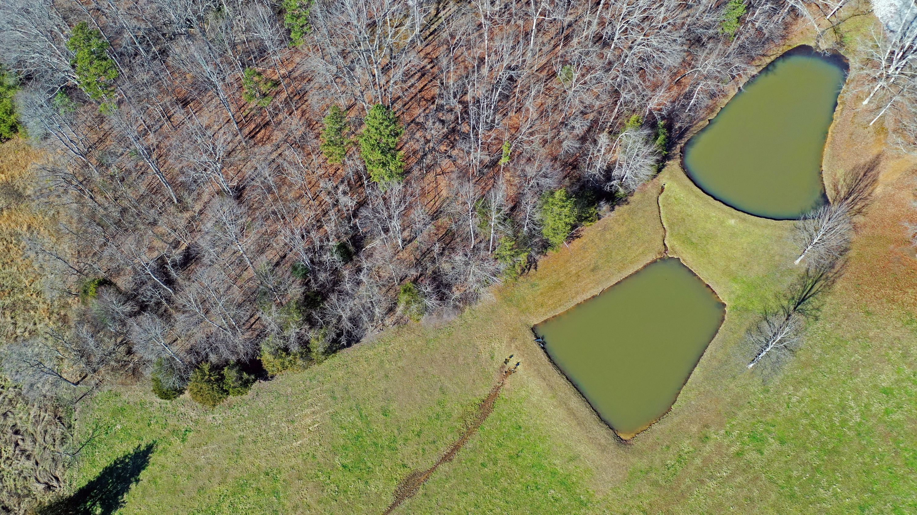 463 Sulphur Hollow Road Tazewell, TN 37879 - Photo 26 of 39 DJI_0022