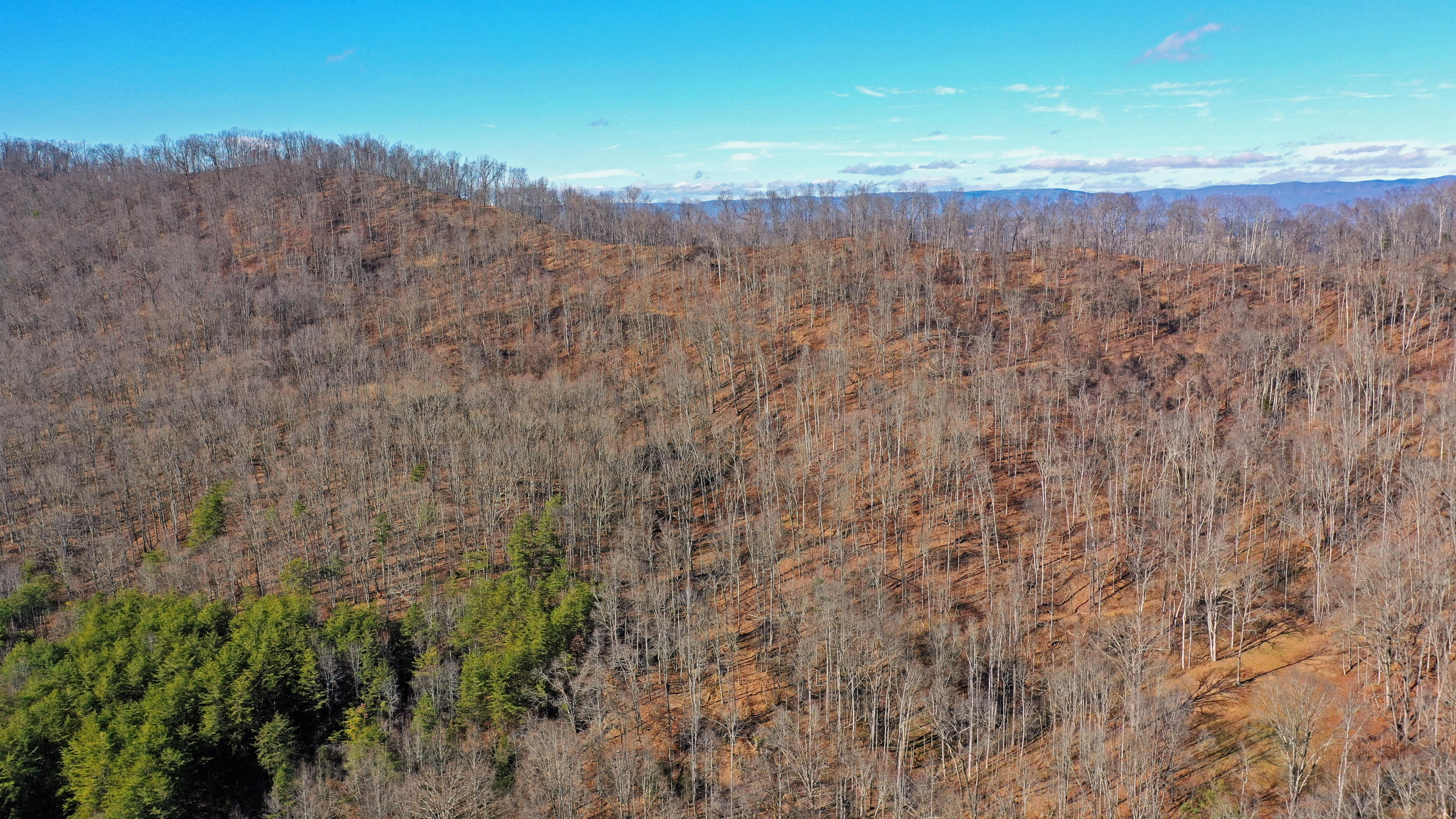 463 Sulphur Hollow Road Tazewell, TN 37879 - Photo 28 of 39 DJI_0025