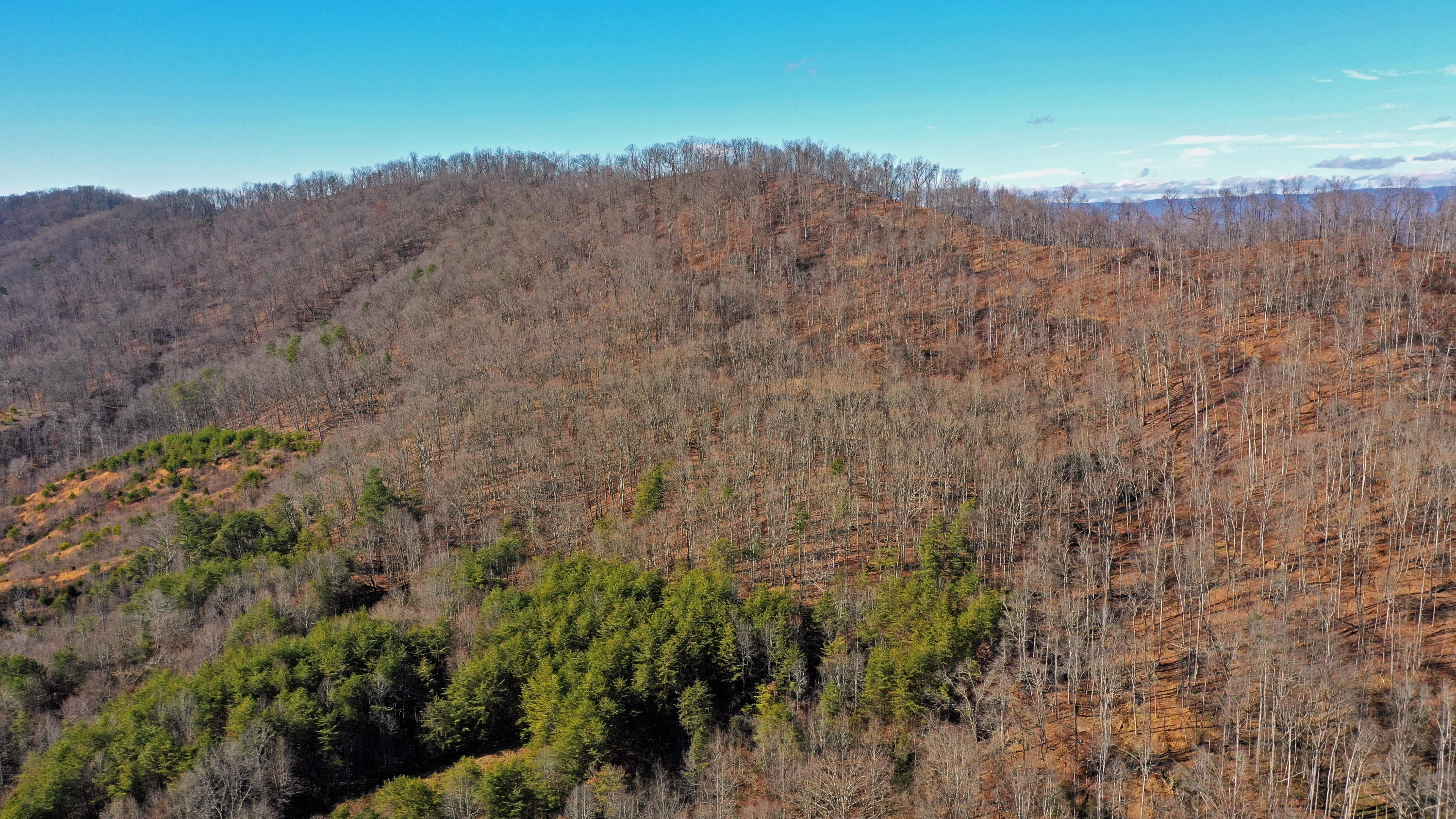 463 Sulphur Hollow Road Tazewell, TN 37879 - Photo 29 of 39 DJI_0026