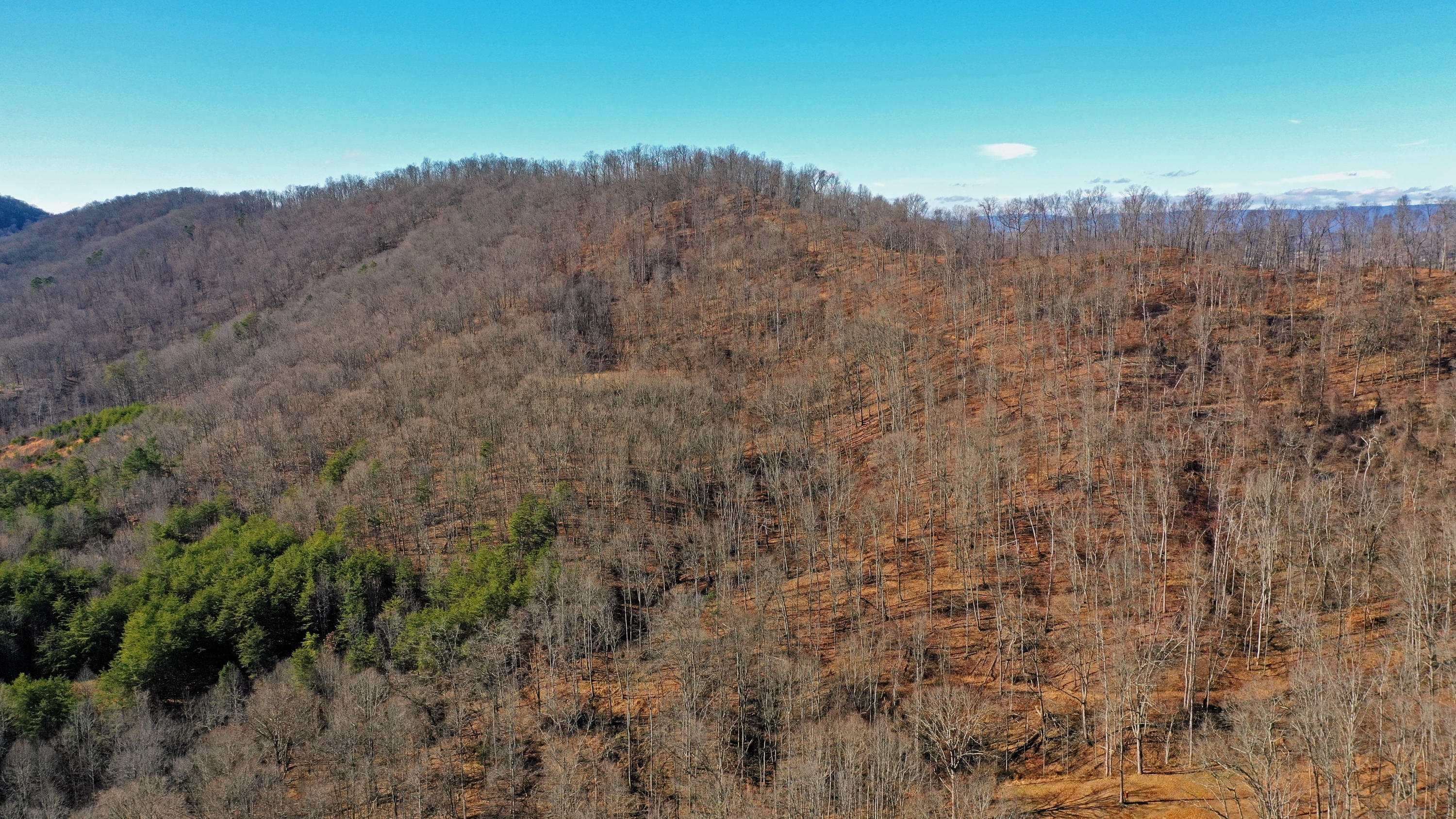 463 Sulphur Hollow Road Tazewell, TN 37879 - Photo 32 of 39 DJI_0031