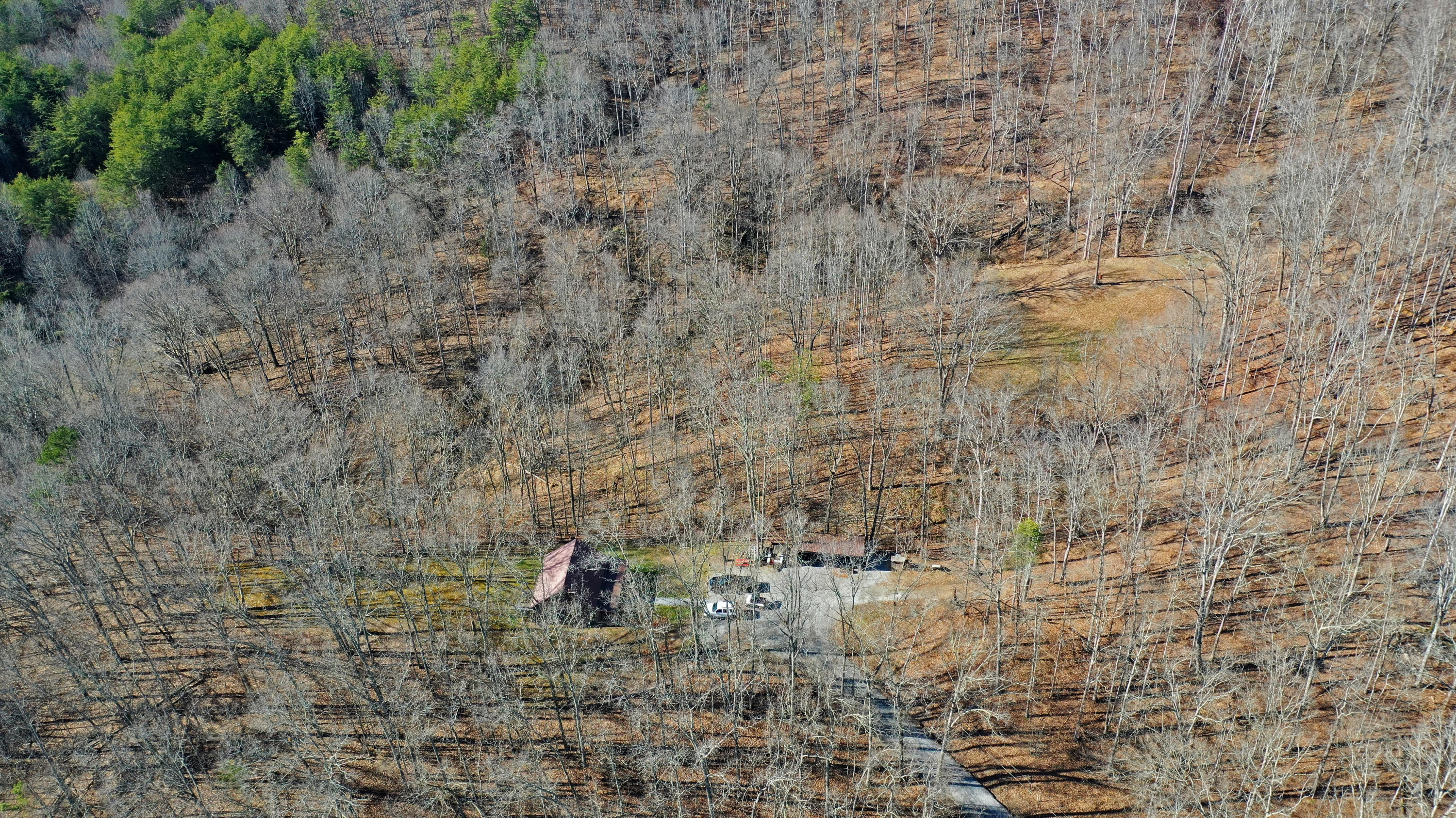 463 Sulphur Hollow Road Tazewell, TN 37879 - Photo 33 of 39 DJI_0032