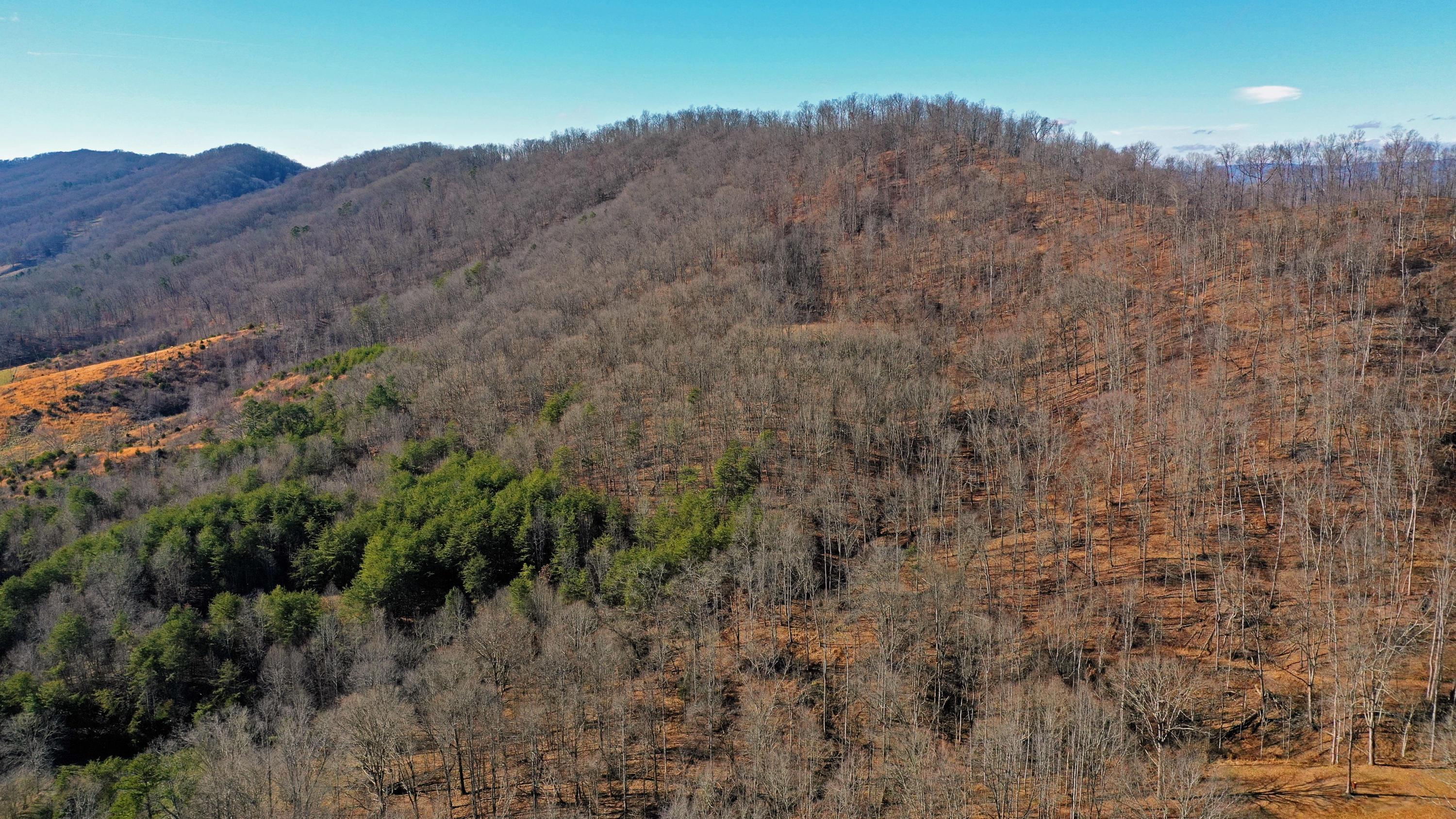 463 Sulphur Hollow Road Tazewell, TN 37879 - Photo 34 of 39 DJI_0033