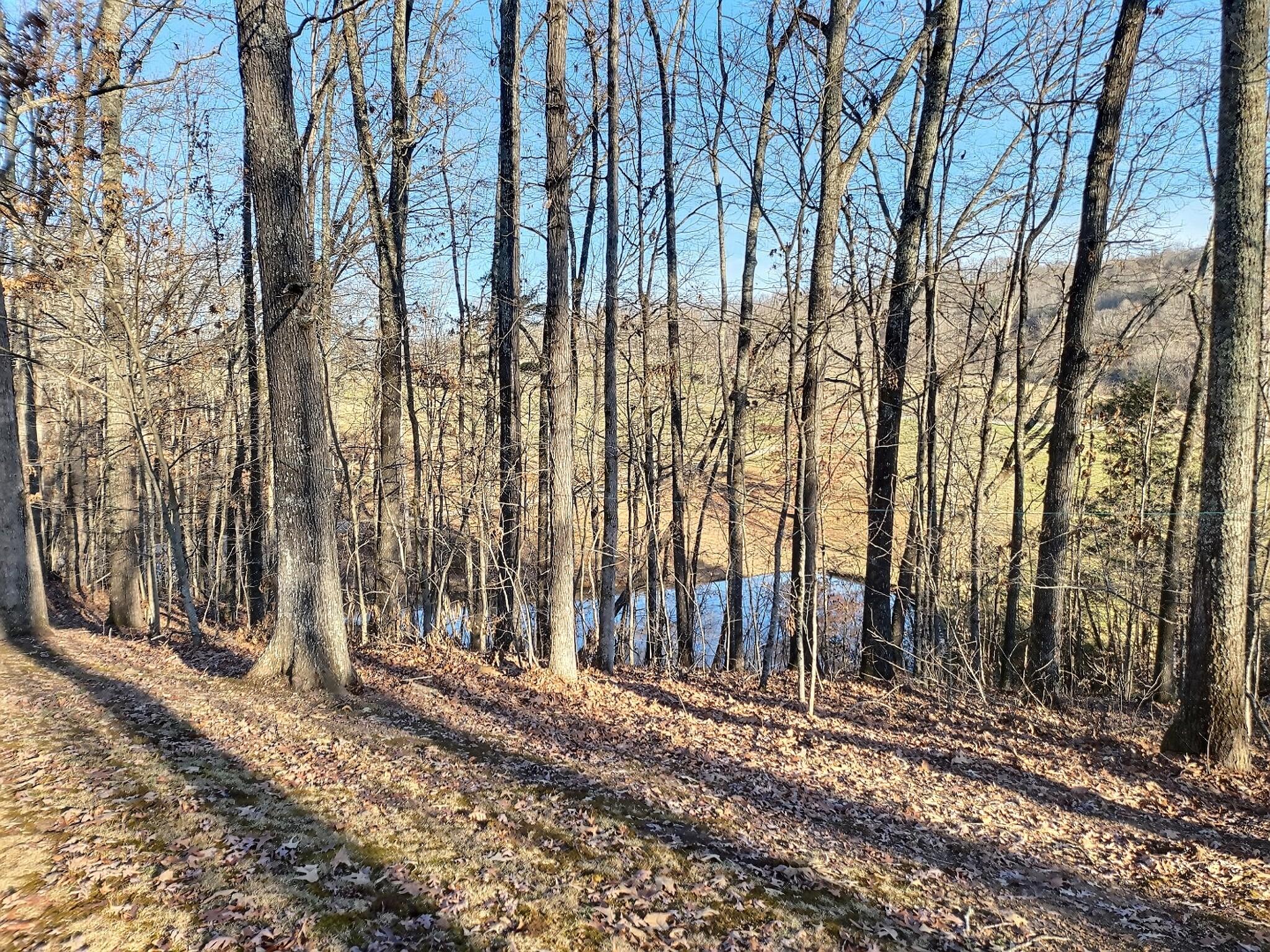463 Sulphur Hollow Road Tazewell, TN 37879 - Photo 38 of 39 exposio_122197501