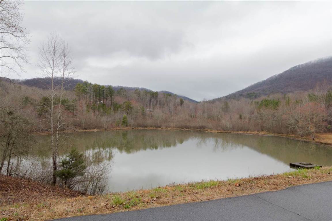 0 Right Fork Road Pickens, SC 29671 - Photo 1 of 8