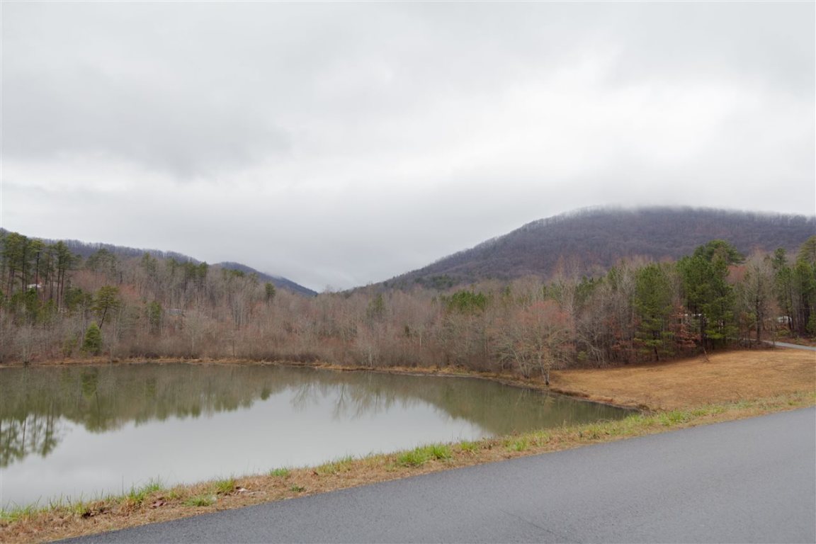 0 Right Fork Road Pickens, SC 29671 - Photo 2 of 8