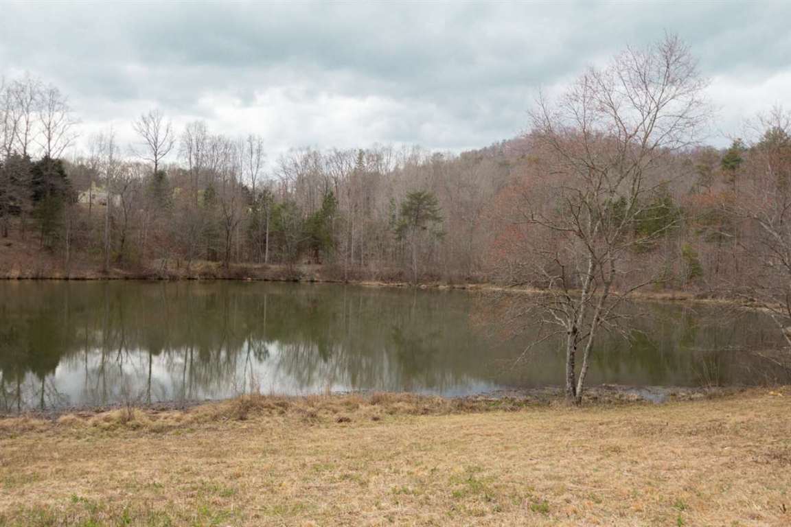0 Right Fork Road Pickens, SC 29671 - Photo 4 of 8