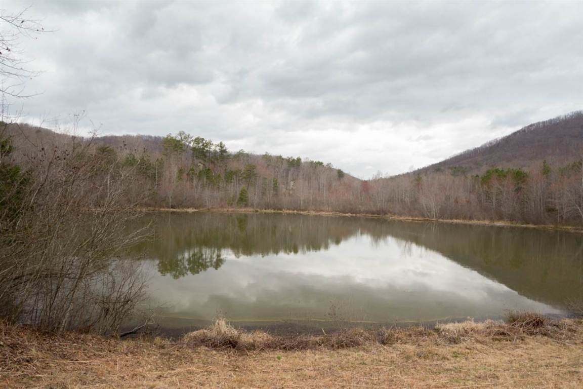 0 Right Fork Road Pickens, SC 29671 - Photo 5 of 8