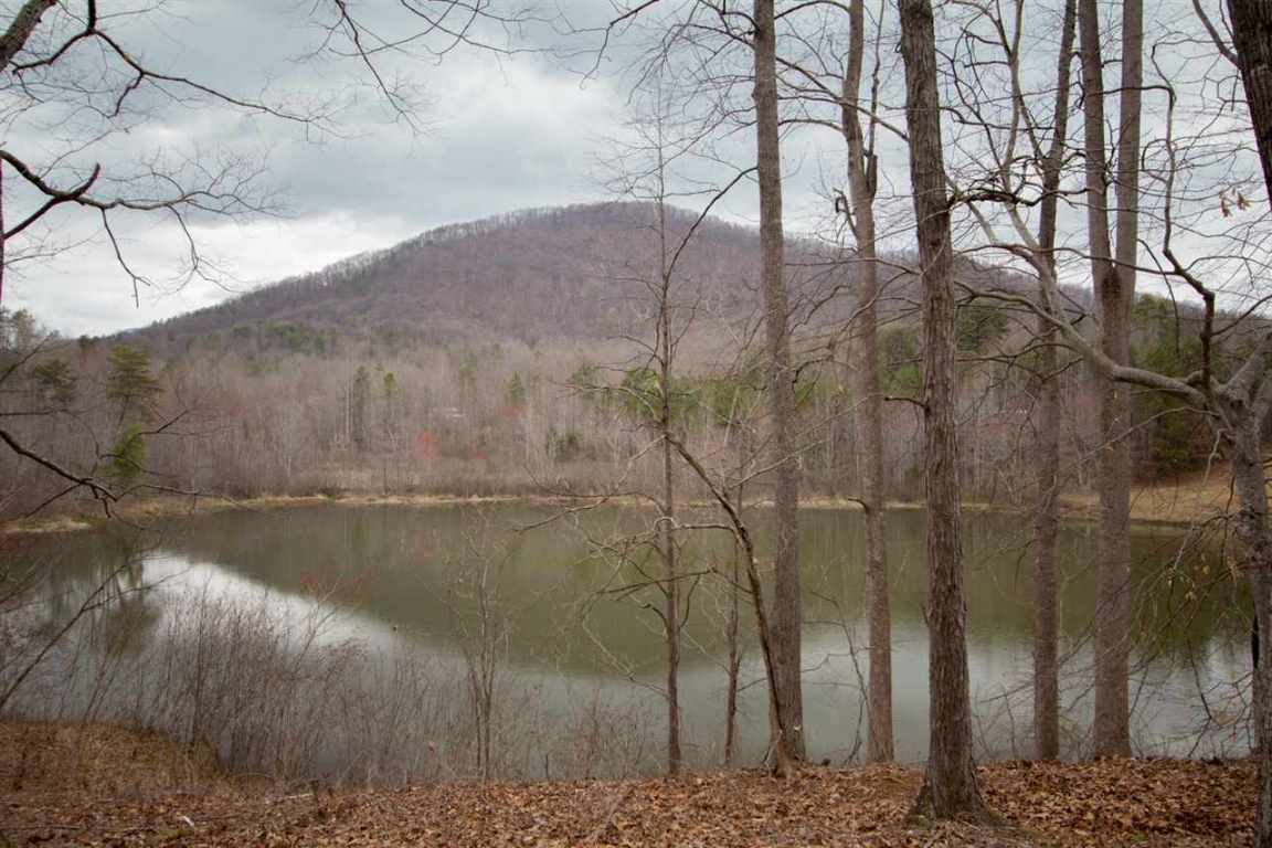 0 Right Fork Road Pickens, SC 29671 - Photo 7 of 8