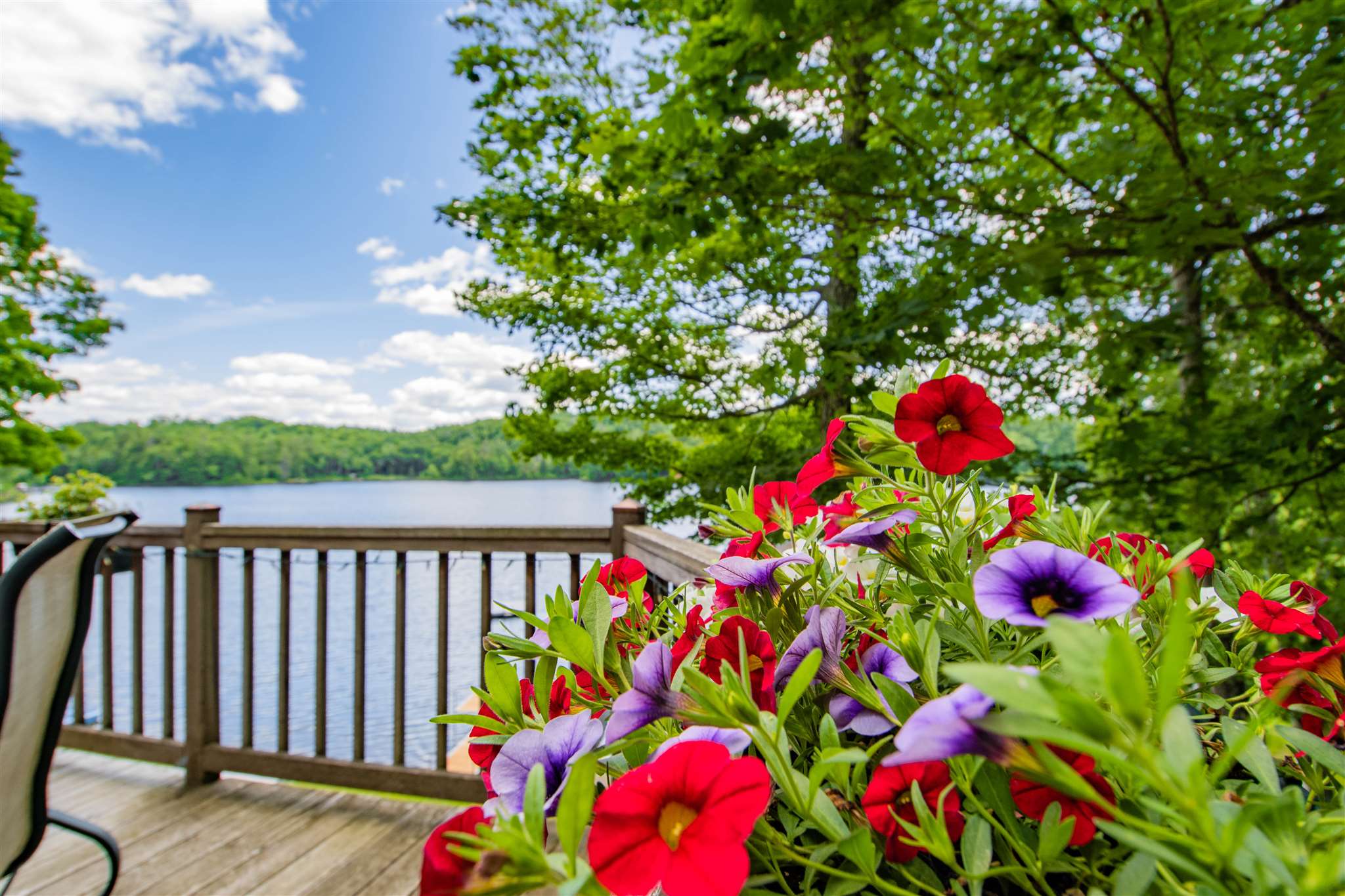 414 Willow Road Woodbury, VT 05681 - Photo 11 of 35 Gallery Image 11