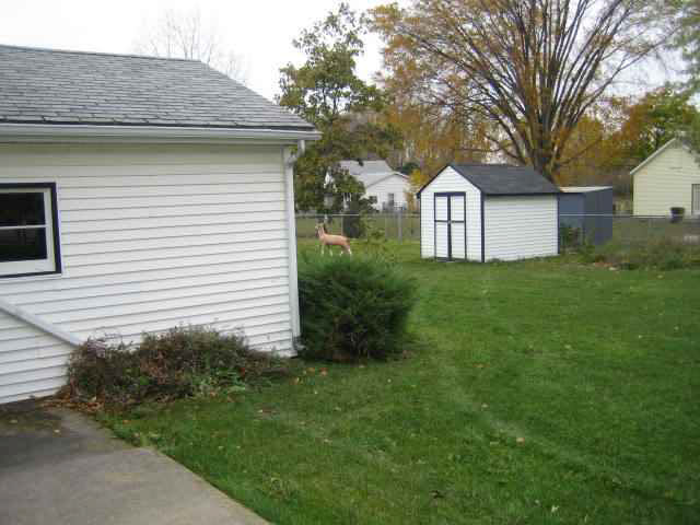 229 Walnut Street Butler, IN 46721 - Photo 3 of 4