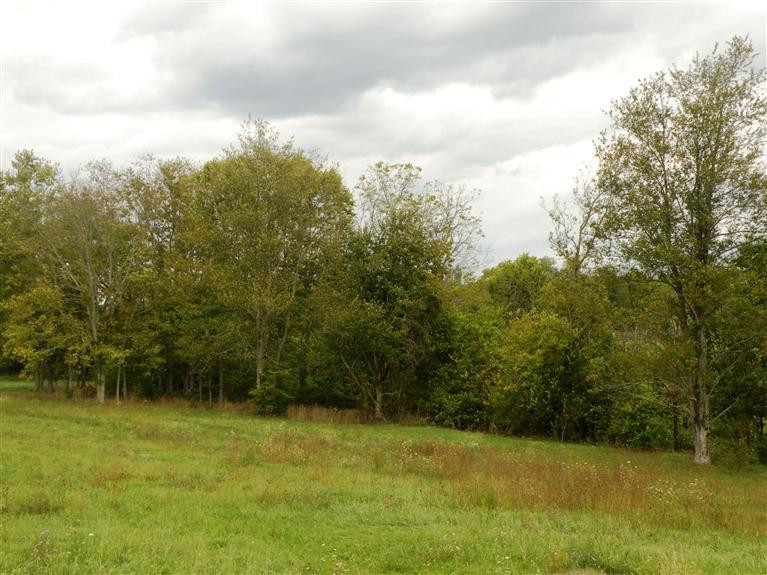 1016 Lloyd Road Georgetown, KY 40324 - Photo 26 of 27 Photo 26