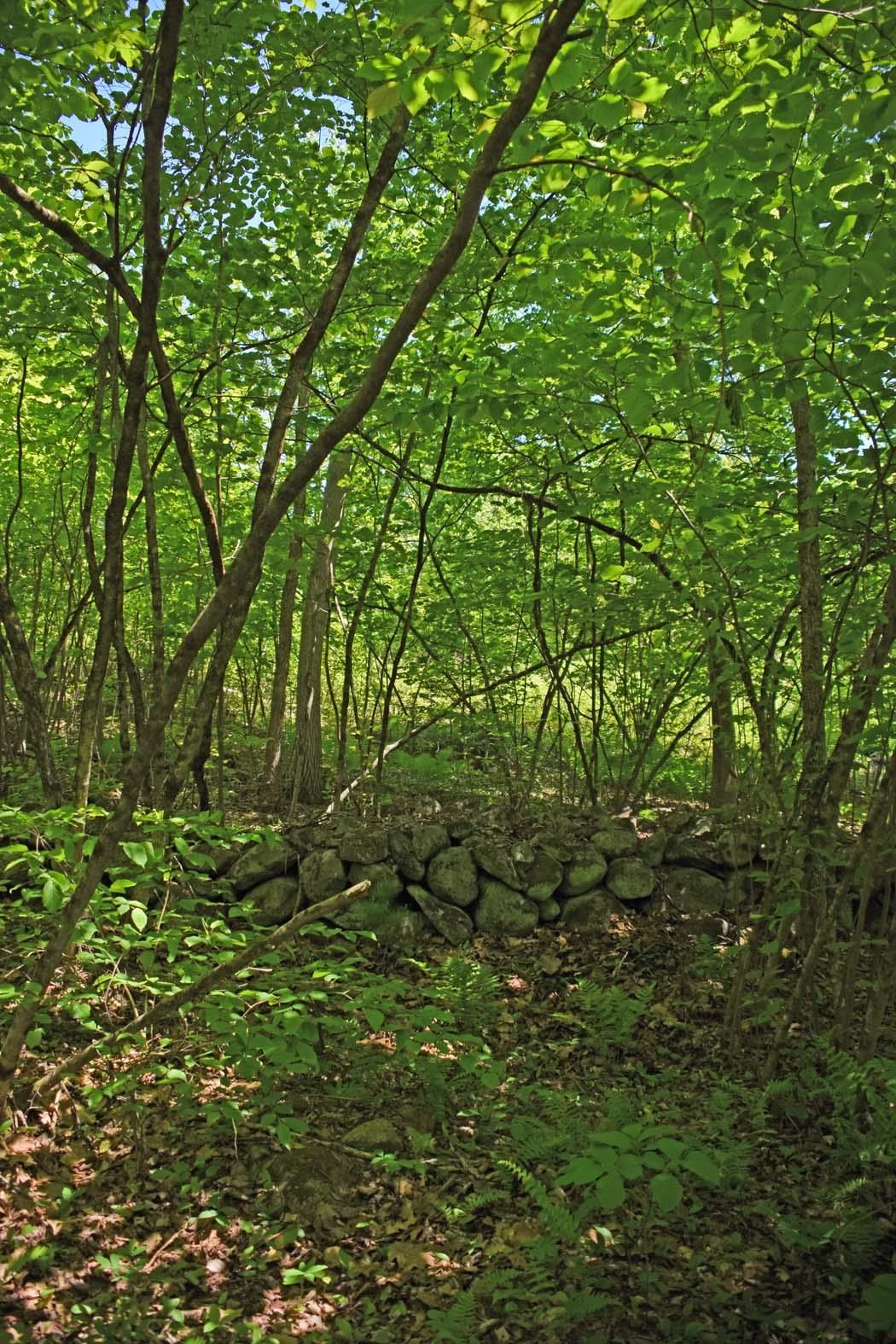 401 Sixth Range Road Pembroke, NH 03275 - Photo 5 of 10