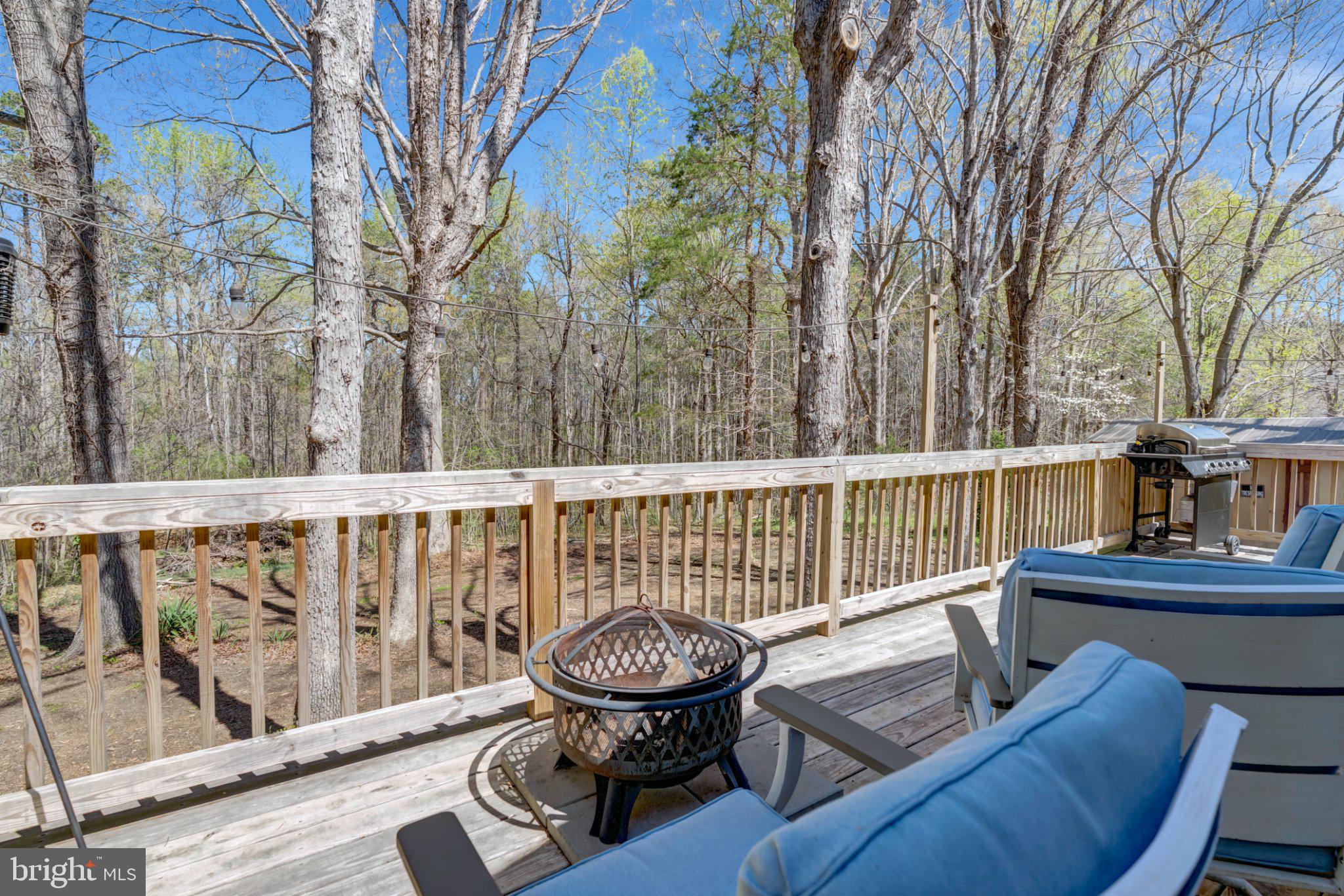 782 Mt Ararat Road Clarksville, VA 23927 - Photo 28 of 28 a view of a chairs and table on the deck