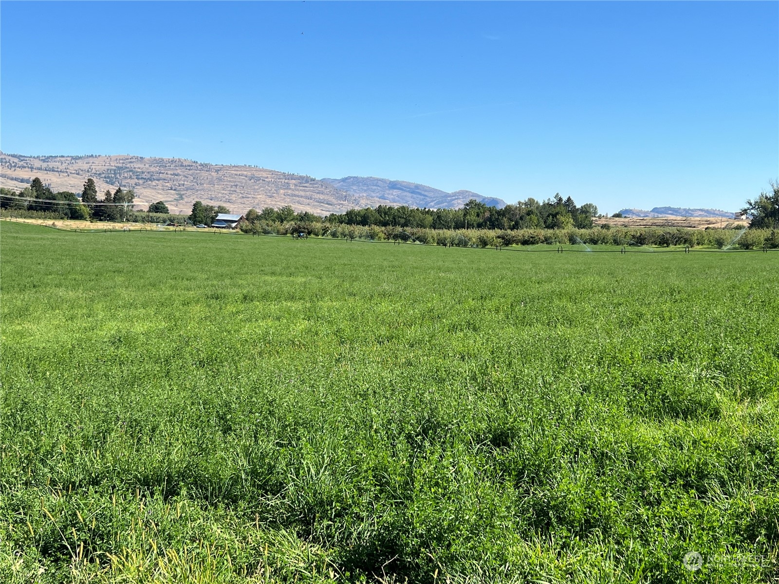0 Old Riverside Highway Omak, WA 98841 - Photo 11 of 14 Gallery Image 11