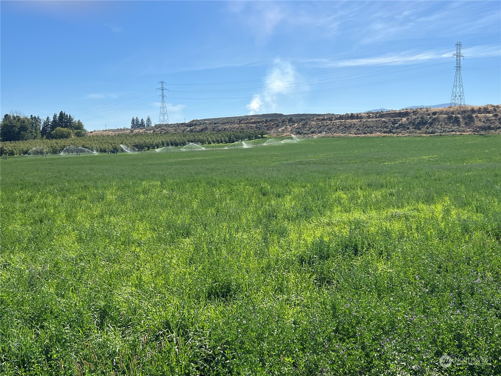 0 Old Riverside Highway Omak, WA 98841 - Photo 4 of 14 Gallery Image 4