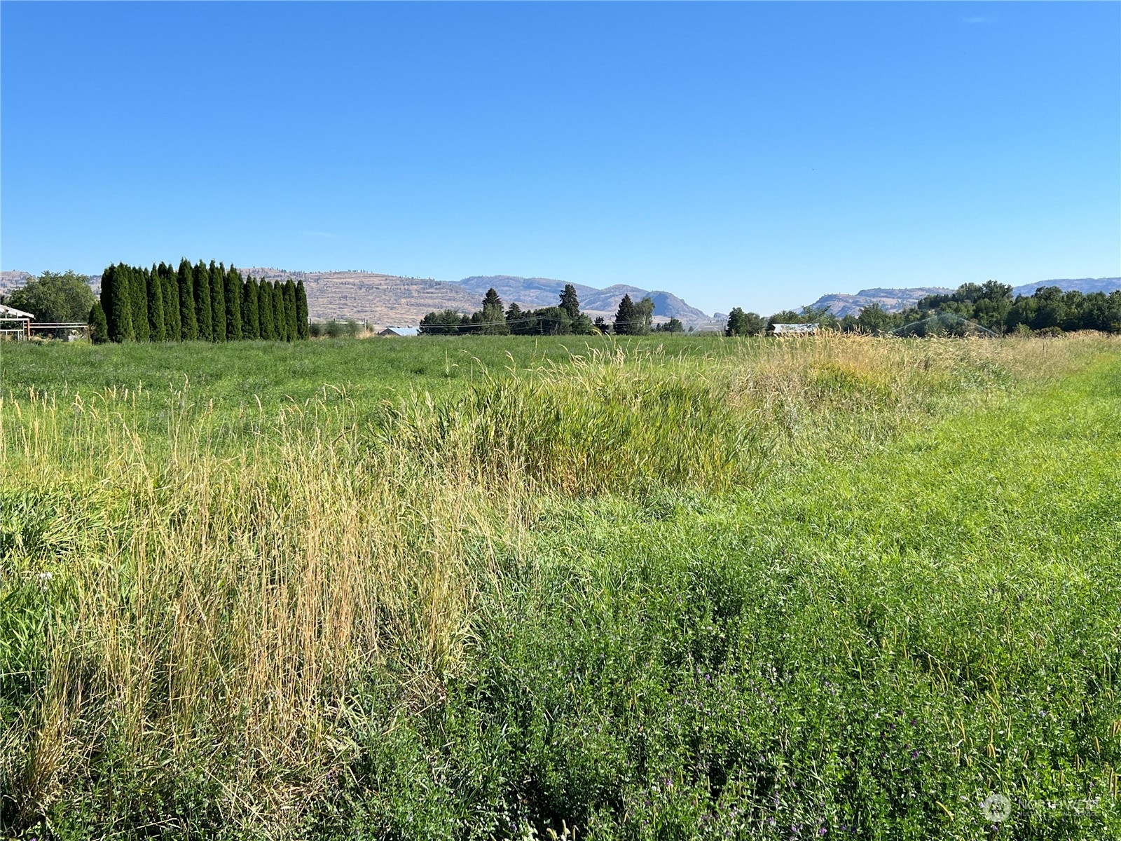 0 Old Riverside Highway Omak, WA 98841 - Photo 6 of 14 Gallery Image 6