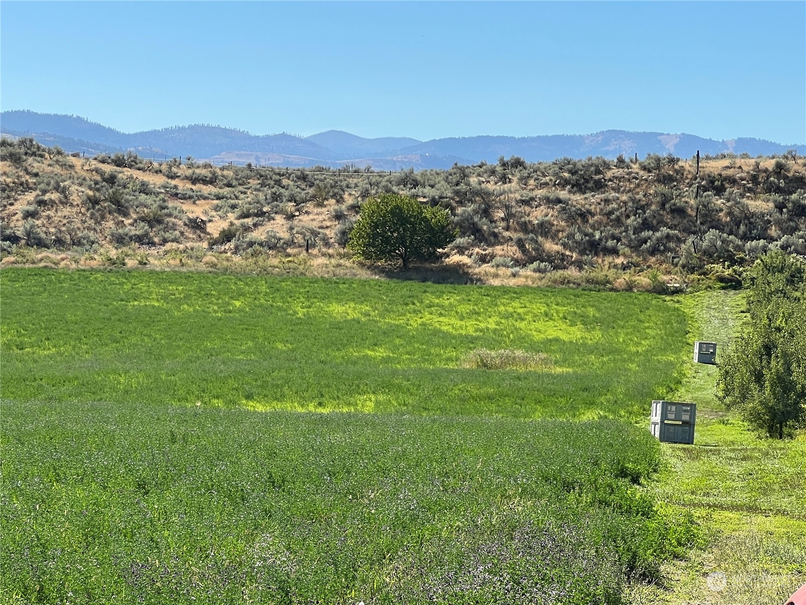 0 Old Riverside Highway Omak, WA 98841 - Photo 7 of 14 Gallery Image 7