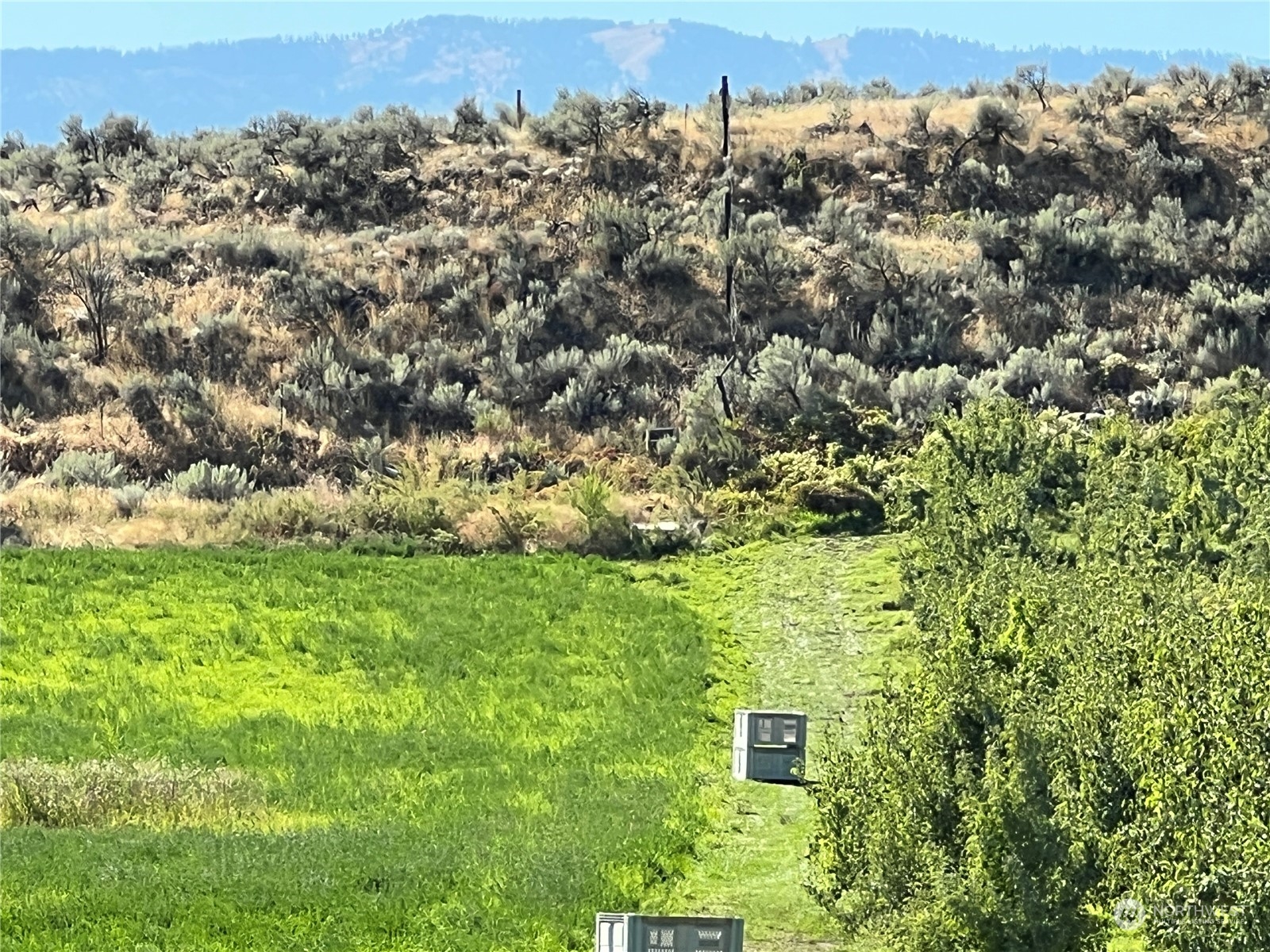 0 Old Riverside Highway Omak, WA 98841 - Photo 8 of 14 Gallery Image 8
