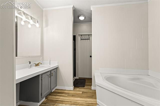 19290 Loop Road Colorado Springs, CO 80928 - Photo 15 of 39 Bathroom featuring a washtub, crown molding, wood-type flooring, a textured ceiling, and vanity
