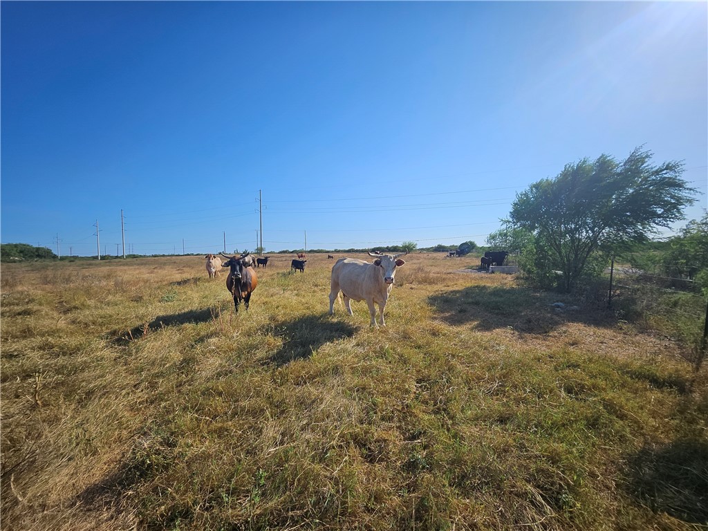 24024 441st Circle Mathis, TX 78368 - Photo 21 of 57 Gallery Image 21