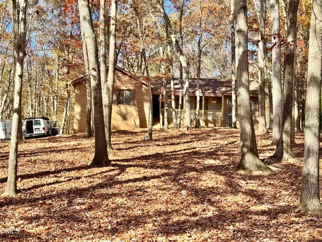 a view of a yard with trees