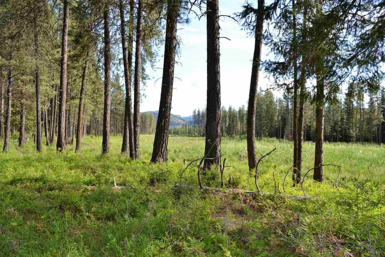 Tbd Le Clerc Road Newport, WA 99156 - Photo 12 of 20 Gallery Image 12
