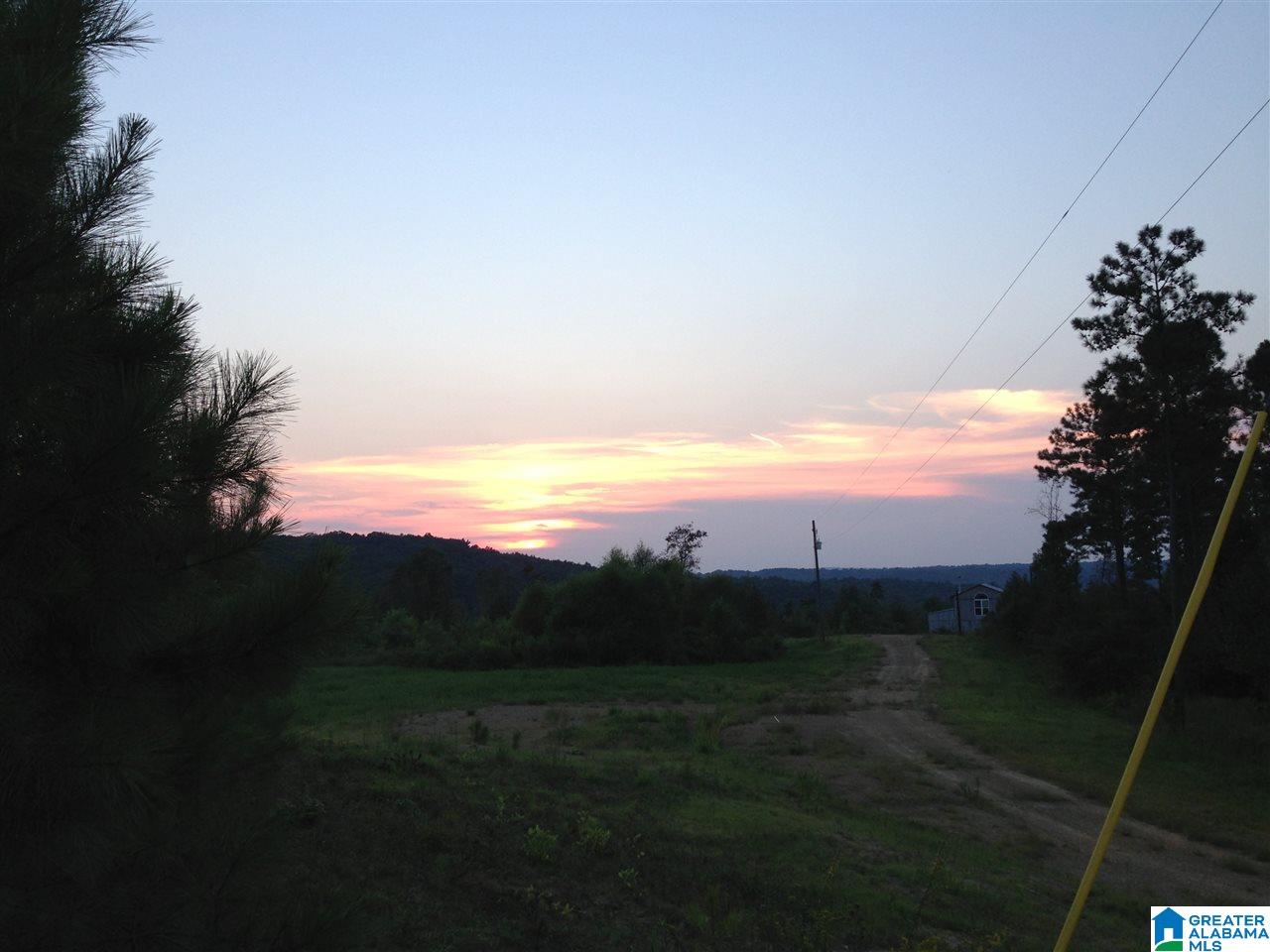 449 Mayo Road, Unit 1 Altoona, AL 35952 - Photo 1 of 6
