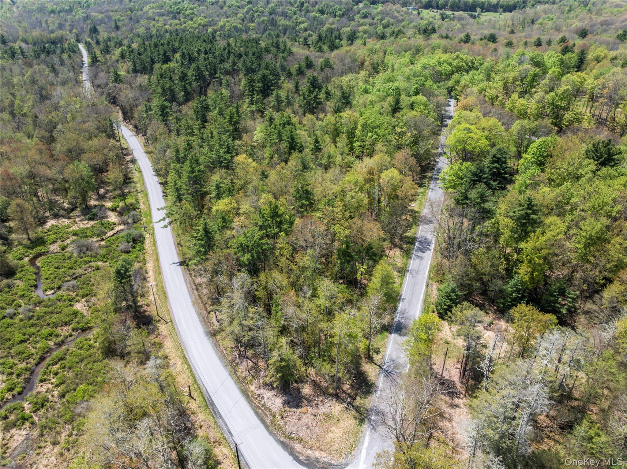Church Road Fallsburg, NY 12733 - Photo 8 of 12
