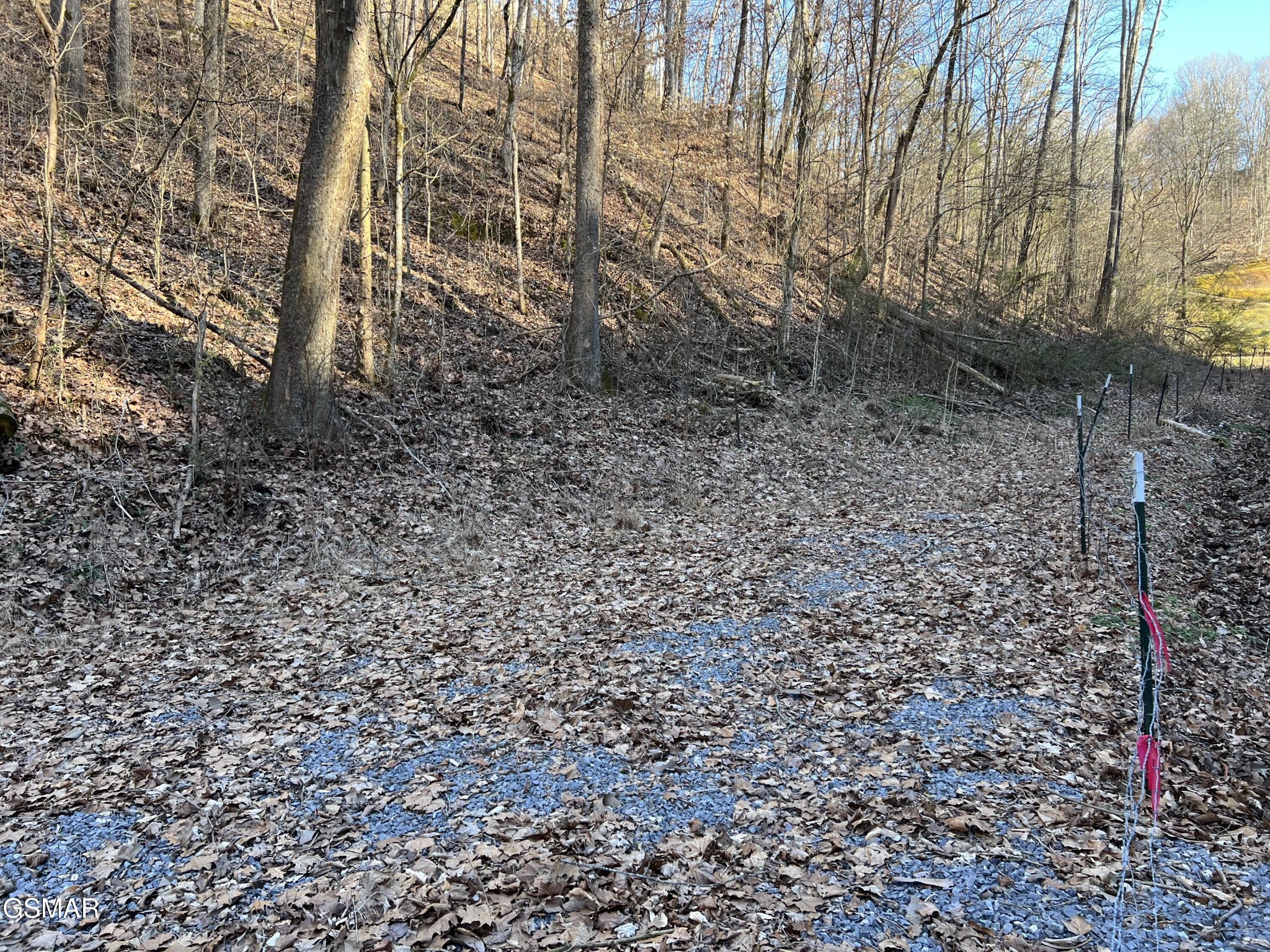 1 Indian Gap Road Sevierville, TN 37876 - Photo 8 of 9