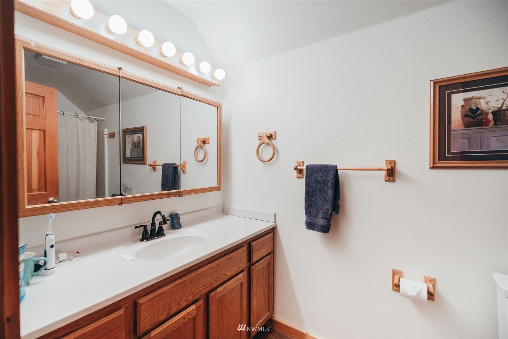 3964 Cabrant Road Everson, WA 98247 - Photo 31 of 40 a bathroom with a sink vanity and mirror