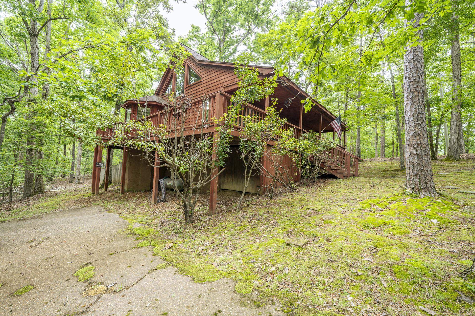 405 Murray Lane Counce, TN 38326 - Photo 2 of 36 a backyard of a house with table and chairs under an large trees