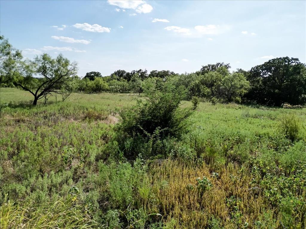 496-acres Nash Road Jacksboro, TX 76458 - Photo 11 of 28 Gallery Image 11