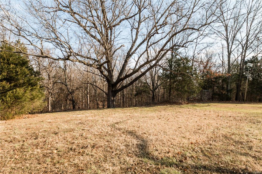 4133 Ll Road Fults, IL 62244 - Photo 48 of 56