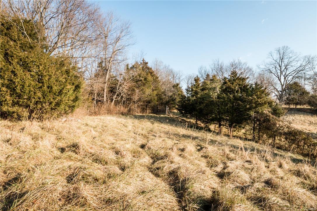 4133 Ll Road Fults, IL 62244 - Photo 49 of 56