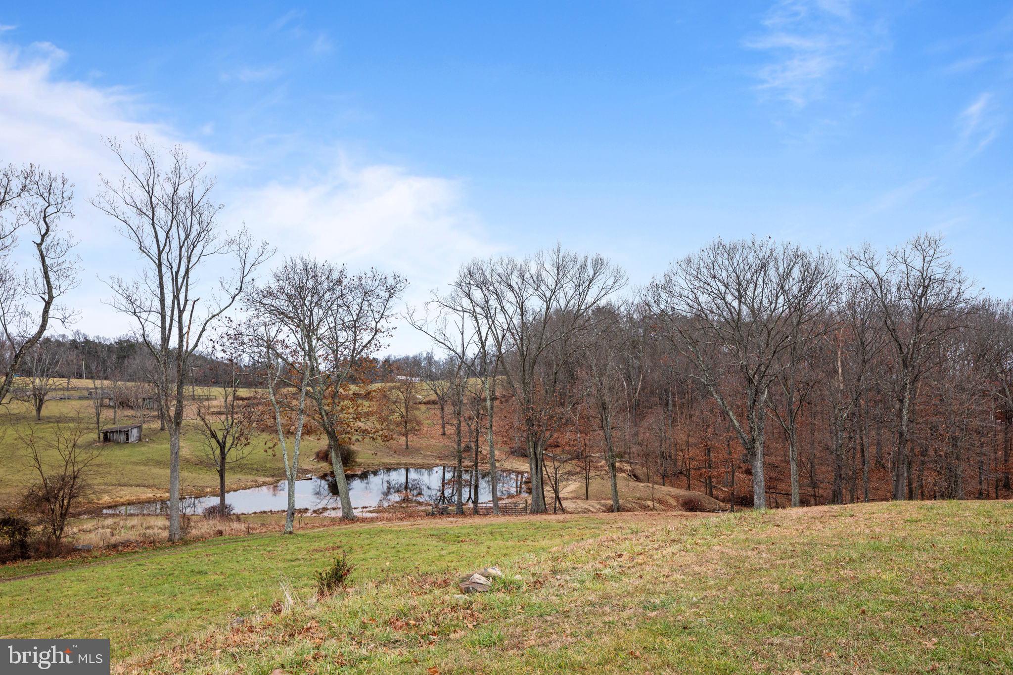 425 South Timber Ridge Road Cross Junction, VA 22625 - Photo 35 of 53 Gallery Image 35