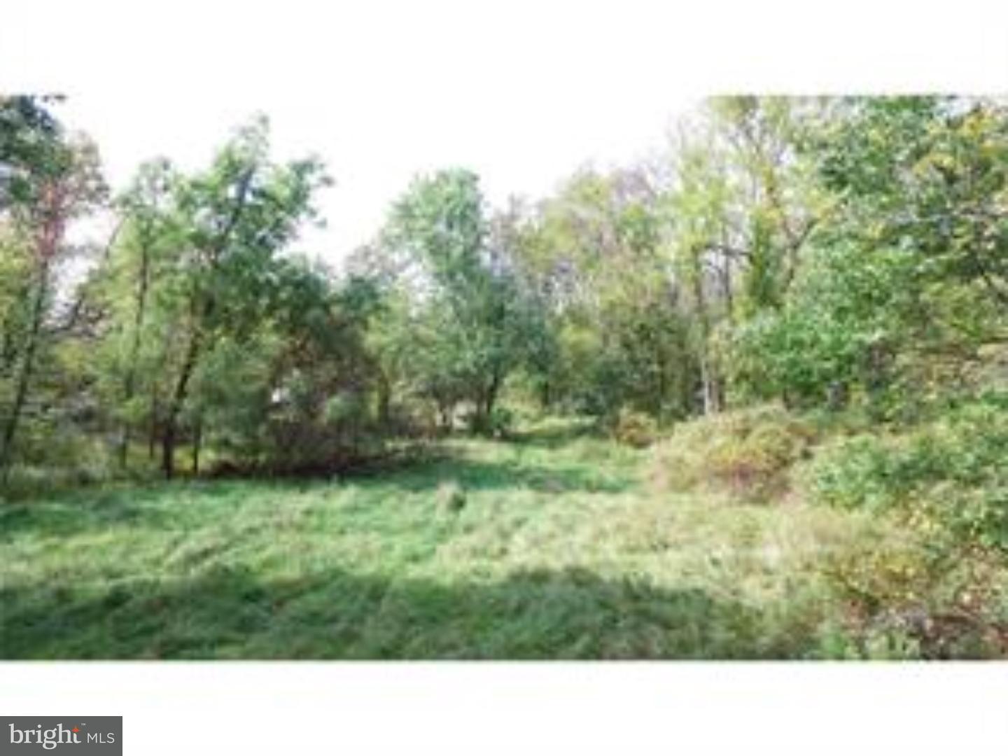 910 Township Line Road Chalfont, PA 18914 - Photo 2 of 8 Gallery Image 2