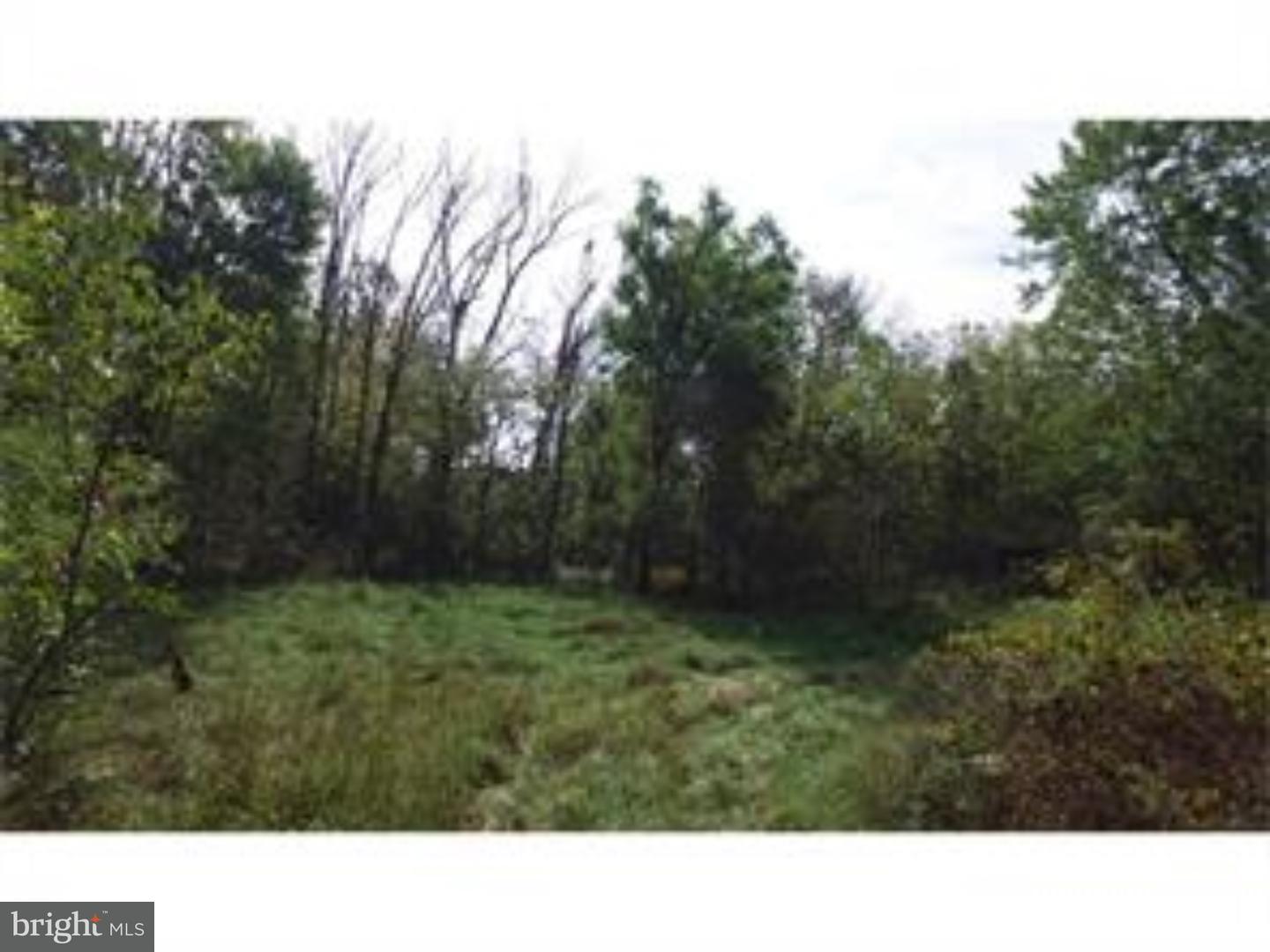 910 Township Line Road Chalfont, PA 18914 - Photo 4 of 8 Gallery Image 4