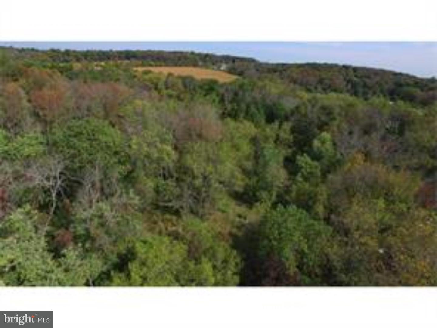 910 Township Line Road Chalfont, PA 18914 - Photo 5 of 8 Gallery Image 5