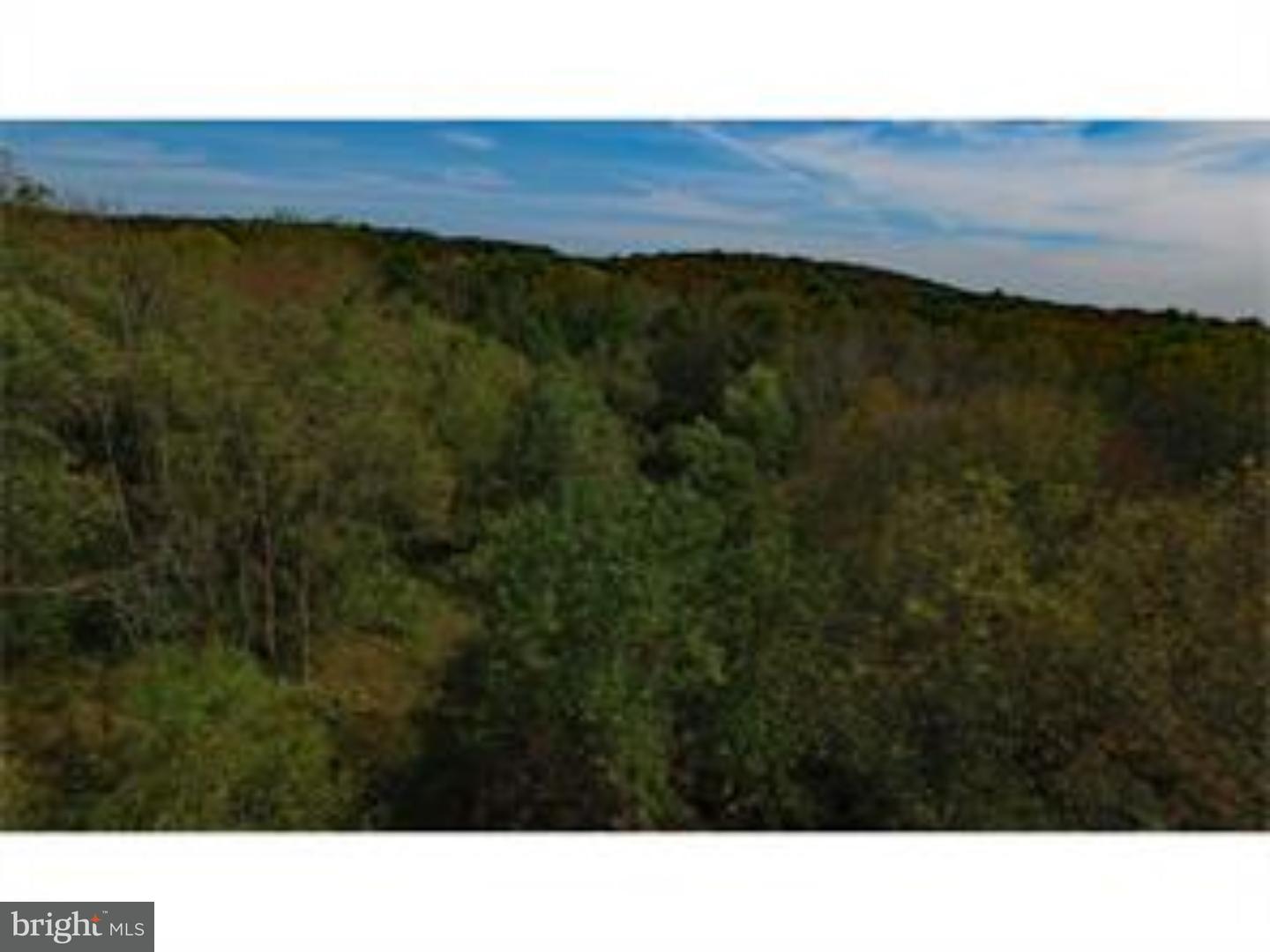 910 Township Line Road Chalfont, PA 18914 - Photo 6 of 8 Gallery Image 6