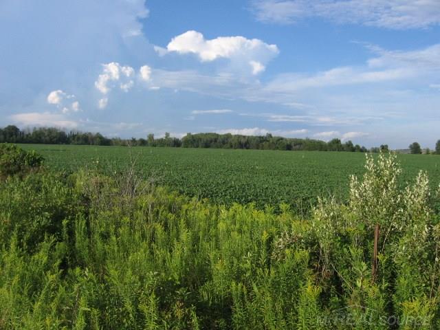 Tbd Fitch Carsonville, MI 48419 - Photo 7 of 7