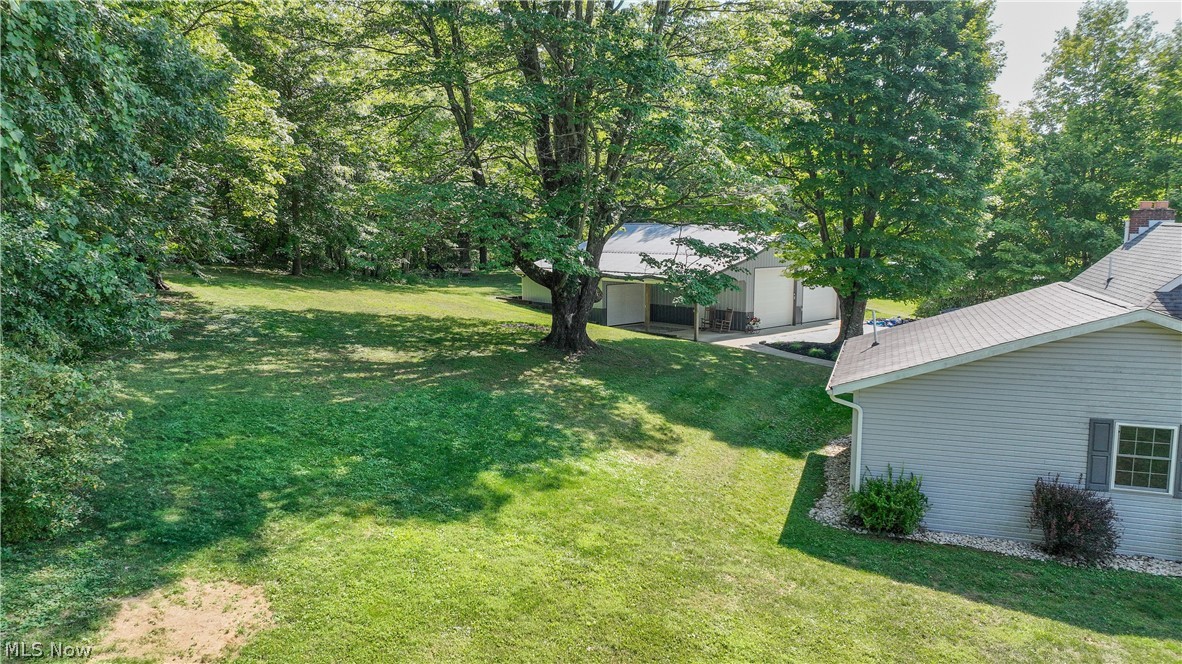 38610 Spiedel Town Road Bethesda, OH 43719 - Photo 4 of 33 View of yard