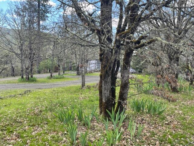 225 River Heights Road Trail, OR 97541 - Photo 68 of 69 image028