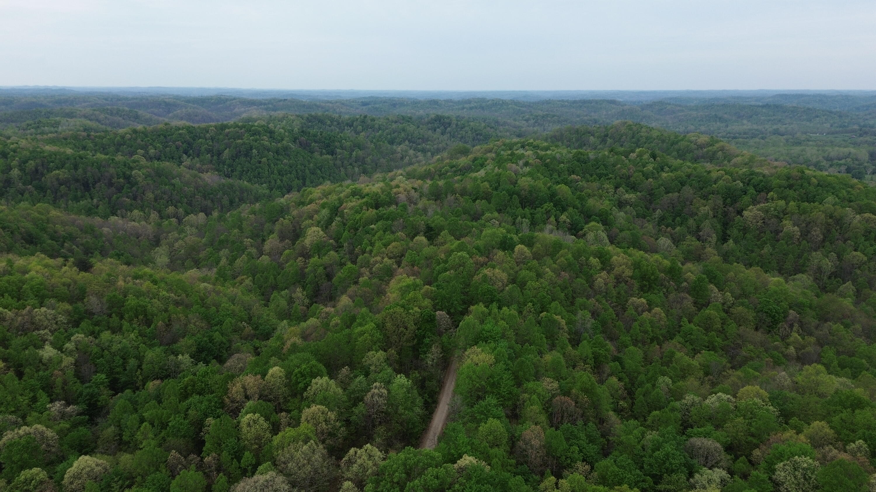 1271 A Tunnel Ridge Road Grayson, KY 41143 - Photo 97 of 134 Property View