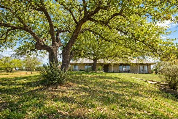 a view of a yard with a tree